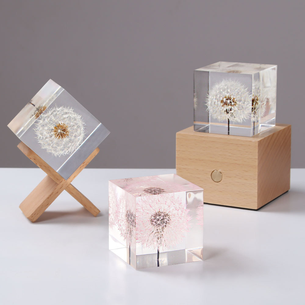 Flower Preservation Resin - Dente di leone fiori freschi conservati