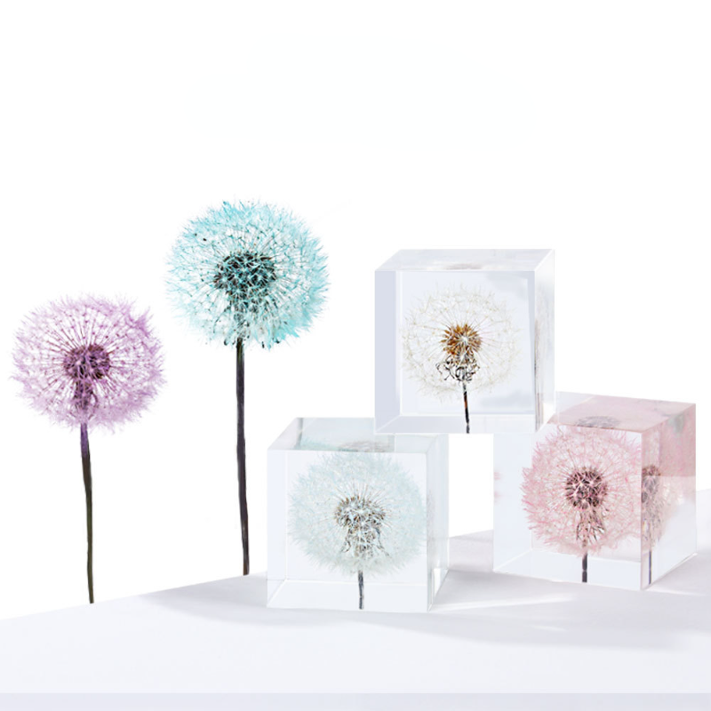 Dente di leone fiori freschi c - Flower Preservation Resin recensione e prezzo